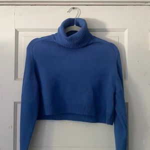 Zara cropped turtle neck